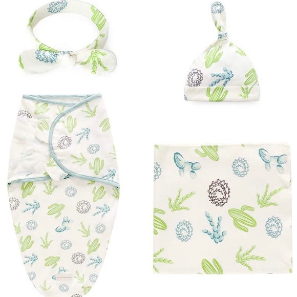 New 4Pc baby cactus bundle - Picture 1 of 3